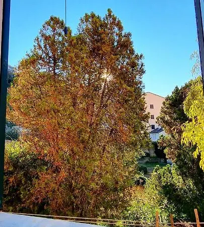 La Baia Del Silenzio Apartment *